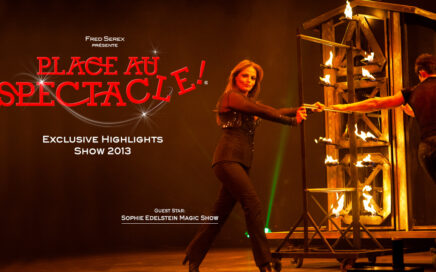 cover Place au spectacle 2013